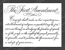 The First Amendment First Aid Kit
