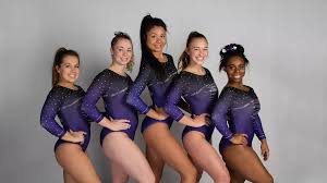 Image result for Hemsworth Odyssey Gymnastics Squad
