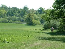 Image result for South Weald Cricket Club