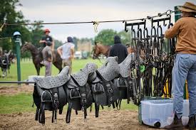 Image result for Cowdray Park Polo Club