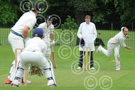 Image result for Luctonians Cricket Club
