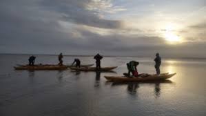 Image result for Kingfisher Canoe Club