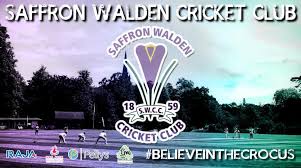 Image result for Saffron Walden Cricket Club