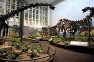 Carnegie Museum of Natural History, 4400 Forbes Ave, Pittsburgh ...