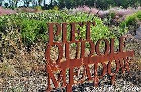 Image result for Piet Oudolf