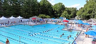 Image result for Romsey and Totton Swimming Club