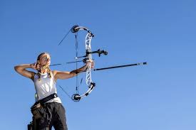 Image result for Muckamore Company Of Archers