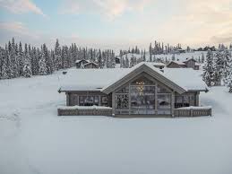 Image result for British Norwegian Ski Club