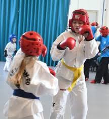 Image result for North Wilts Taekwondo