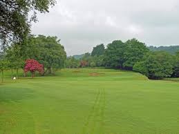 Image result for The Shipley Club