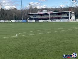 Image result for Hadleigh United Football Club