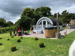 Image result for Braishfield Ultimate