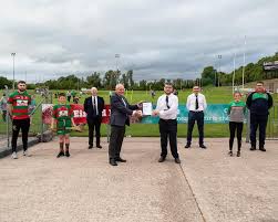 Image result for Lisnaskea Emmetts Gfc