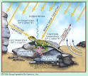 Endotherms vs. Ectotherms :: Osmoregulation and Excretion