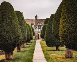 Image result for Painswick Bowling Club