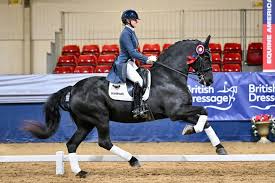 Image result for Interfreestyle Sport Karate