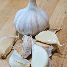 Attēlu rezultāti vaicājumam “Allium sativum fruit”