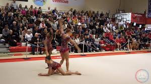 Image result for King Edmund Acro Gymnastics Club