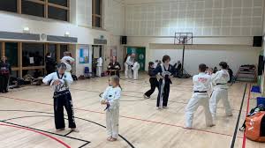 Image result for Torbay Taekwondo Schools