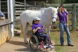 Image result for Riding For The Disabled Association