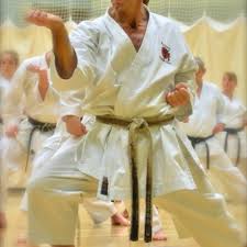 Image result for Hetton and Murton Karate Academy