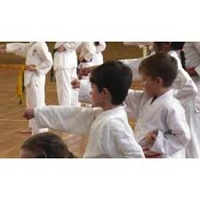Image result for Harpenden JKA Karate Club