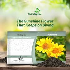 Image result for Heliopsis scabra