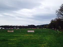 Image result for Lovat Shinty Club