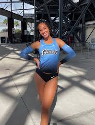 Image result for Hayley Badminton Club (Sunday Smashers)