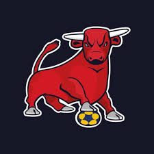 Image result for Cambridge City Korfball Club