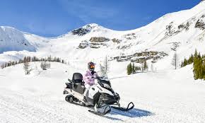 Image result for snowmobile