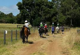 Image result for Riding For The Disabled Association