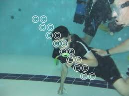 Image result for Bradford Sub-Aqua Club