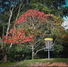Image result for Quarry Park Disc Golf Club