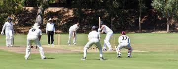 Image result for Malvern Cricket Club