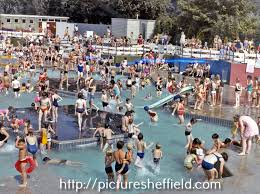 Image result for Halifax Octopush Club