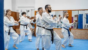 Image result for Okami Karate & Fitness Schools