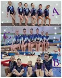 Image result for Wiltshire School Of Gymnastics