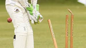 Image result for Bradenham Cricket Club