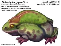 Attēlu rezultāti vaicājumam “Pelophylax”