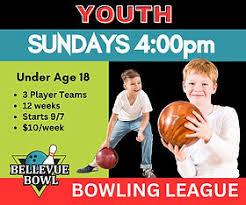 Image result for Belle Vue Castle Bowls Club