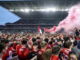 Image result for Cork Rebels