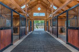 Image result for Ecurie Barnton