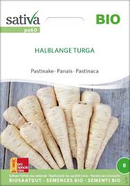 Image result for Pastinake
