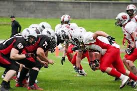Image result for Edinburgh Wolves