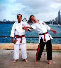 Image result for Epsom and Leatherhead Martial Arts