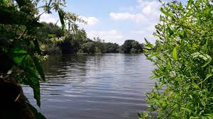 Image result for Tonbridge Town Sailing Club