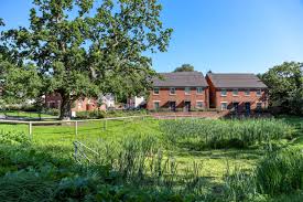 Image result for Dinas Powys Cricket Club