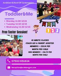 Image result for Arabian School Of Gymnastics