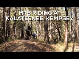 Image result for Kempsey Cc